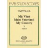 MEIN VATERLAND 5 - TABOR