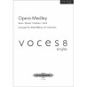 Opera Medley (Bizet/Mozart/Delibes/Verdi)