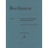 KADENZEN UND EINGANGE SU KLAVIERKONZERTEN