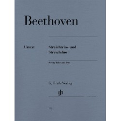 STREICHTRIOS-DUO