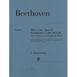 TRIO C-DUR OP.87 - VARIATIONEN C-DUR WO.28