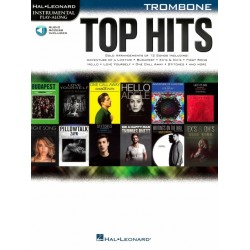 INSTRUMENTAL PLAY-ALONG TOP HITS
