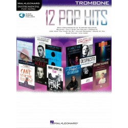 IPA 12 POP HITS
