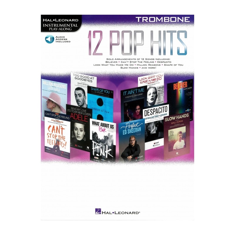 IPA 12 POP HITS