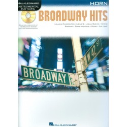 INSTRUMENTAL PLAY ALONG BROADWAY HITS