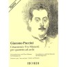 CRISANTEMI -3 MINUETTI