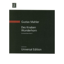 DES KNABENWUNDERHORN VOL.1