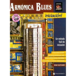ARMONICA BLUES INICIACION!