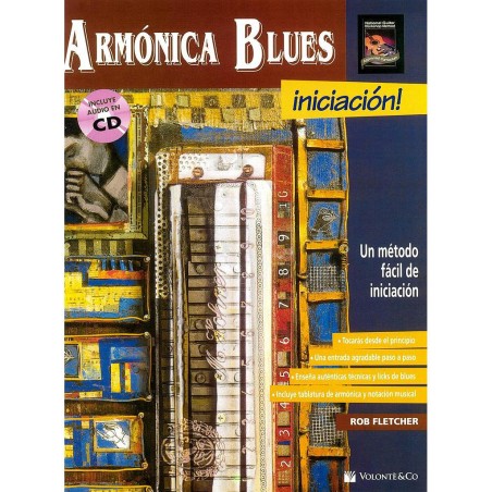 ARMONICA BLUES INICIACION!