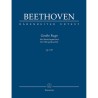 Grosse Fuge op.133