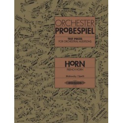 ORCHESTER PROBESPIEL