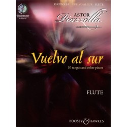 VUELVO AL SUR