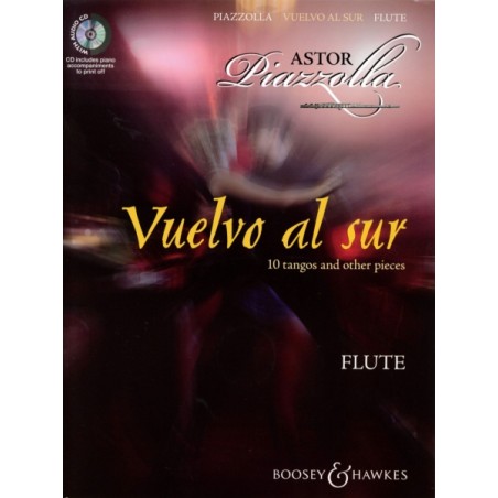 VUELVO AL SUR