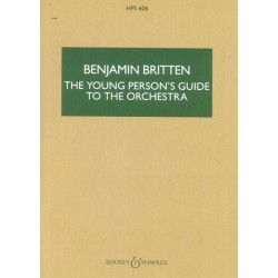 THE YOUNG PERSON´S GUIDE