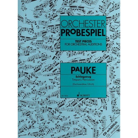 ORCHESTER PROBESPIEL