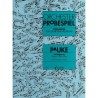ORCHESTER PROBESPIEL
