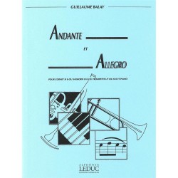 ANDANTE-ALLEGRO
