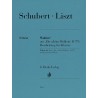 Wohin? aud "Die schone Mullerin" D.795