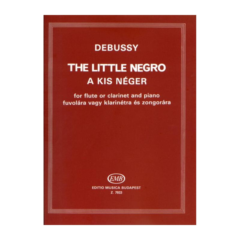 THE LITTLE NEGRO