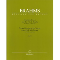 SONATENSATZ IN C-MINOR WWO.2