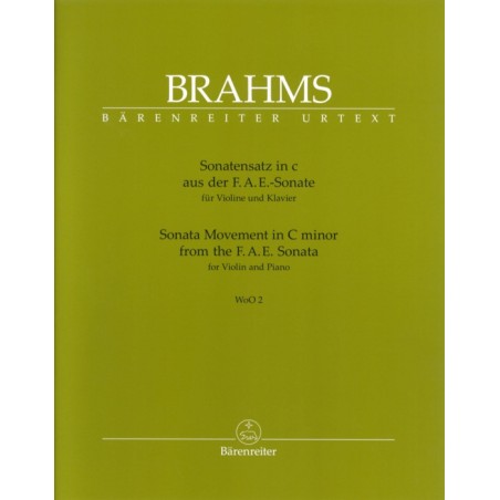 SONATENSATZ IN C-MINOR WWO.2