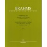SONATENSATZ IN C-MINOR WWO.2