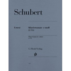 KLAVIERSONATE C MOLL D 958