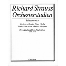 ORCHESTERSTUDIEN 2