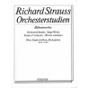 ORCHESTERSTUDIEN 2