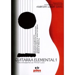 GUITARRA ELEMENTAL 1