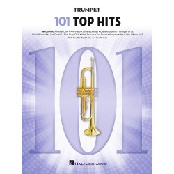 101 Top Hits