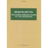 THE YOUNG PERSON´S GUIDE