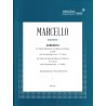 Concerto d-moll