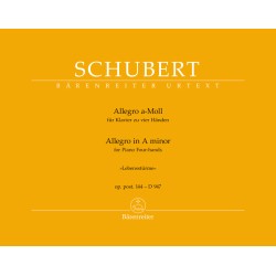 Allegro a-moll «Lebenssturme» Op.post.144-D.947