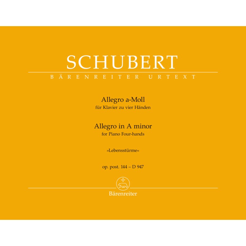 Allegro a-moll «Lebenssturme» Op.post.144-D.947