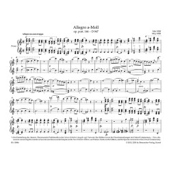 Allegro a-moll «Lebenssturme» Op.post.144-D.947
