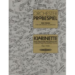 ORCHESTER PROBESPIEL