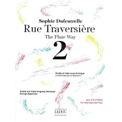 RUE TRAVERSIERE 2