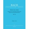 MOTET 229 KOMM, JESU, KOMM