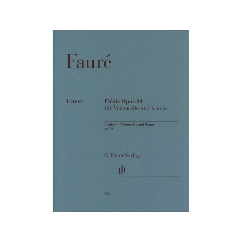 ELEGIE OP.24