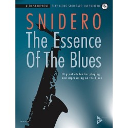 THE ESSENCE OF THE BLUES