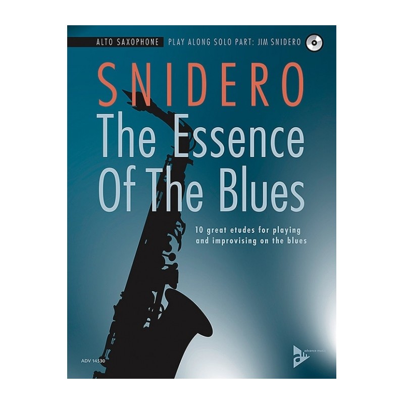 THE ESSENCE OF THE BLUES