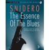THE ESSENCE OF THE BLUES