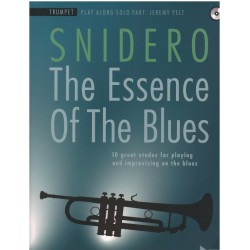 THE ESSENCE OF THE BLUES