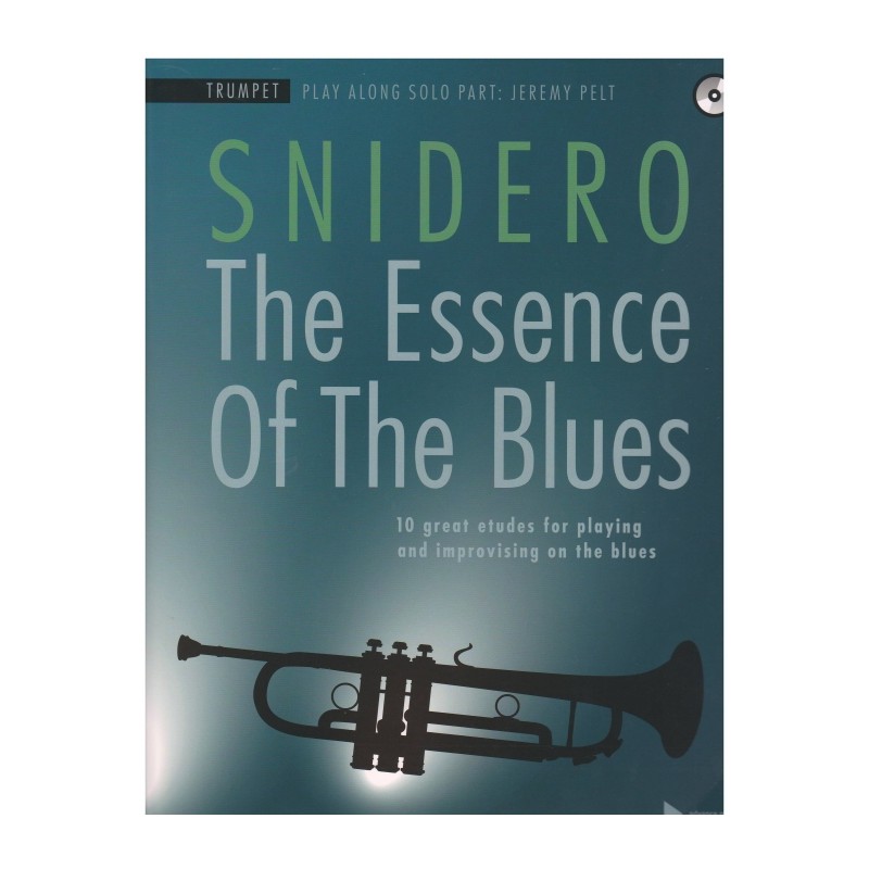 THE ESSENCE OF THE BLUES