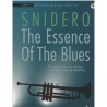 THE ESSENCE OF THE BLUES