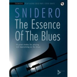 THE ESSENCE OF THE BLUES