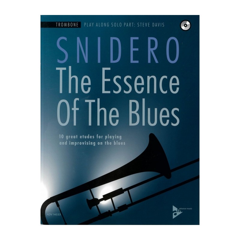 THE ESSENCE OF THE BLUES