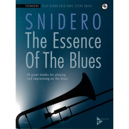 THE ESSENCE OF THE BLUES