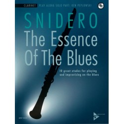 THE ESSENCE OF THE BLUES